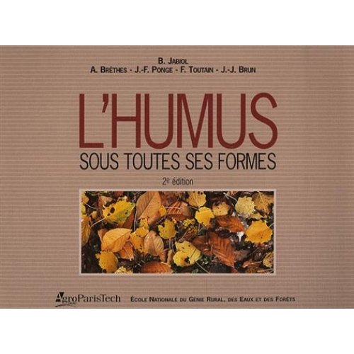 L’humus sous toutes ses formes