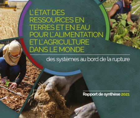 L’état des ressources en terres et en eau pour l’alimentation et l’agriculture dans le monde – Des systèmes au bord de la rupture