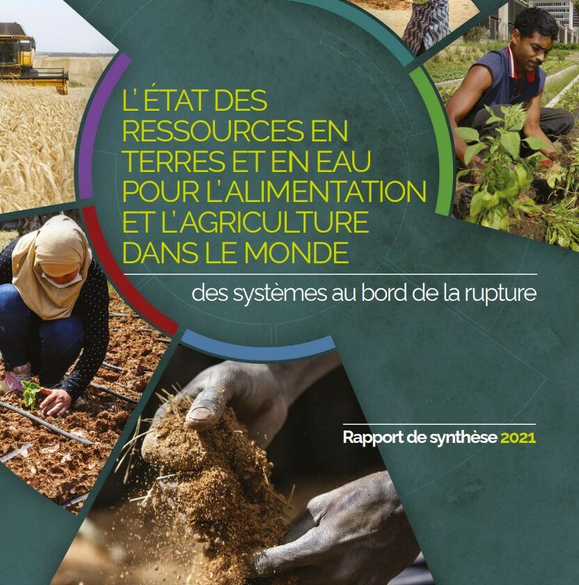 L’état des ressources en terres et en eau pour l’alimentation et l’agriculture dans le monde – Des systèmes au bord de la rupture
