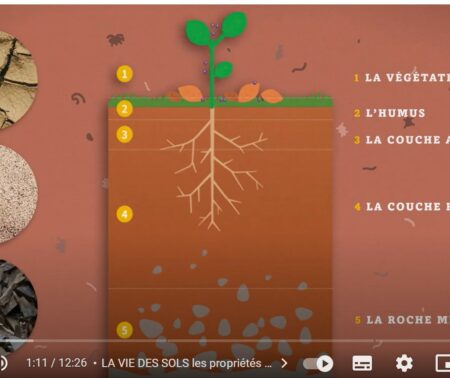 La vie des sols, les propriétés essentielles : Chapitre 2 La Rétention et la Filtration