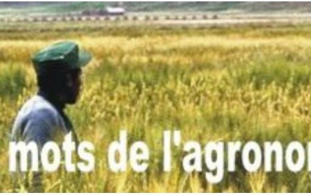 Les mots de l’Agronomie