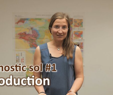 Diagnostic sol #1 | Introduction