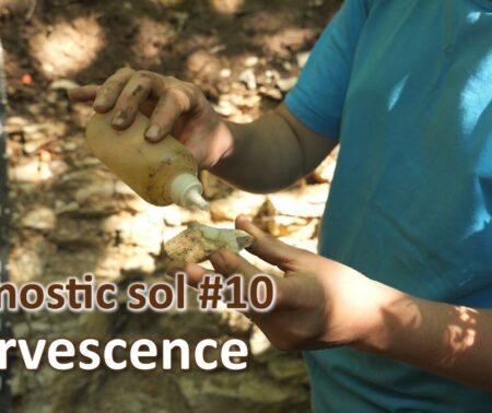 Diagnostic sol #10 | Effervescence