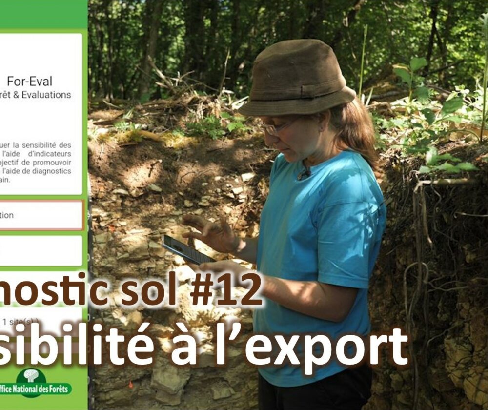 Diagnostic sol #12 | Sensibilité à  l’export