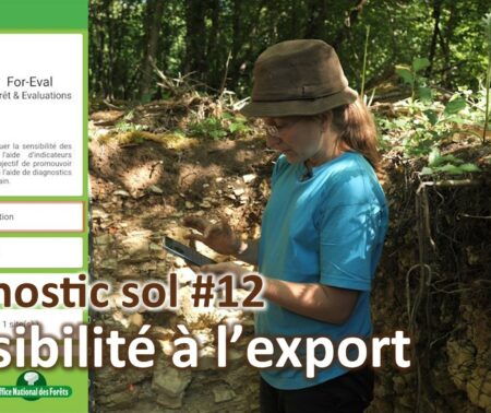 Diagnostic sol #12 | Sensibilité à  l’export