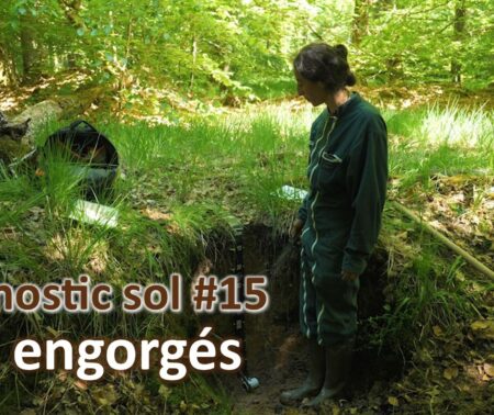 Diagnostic sol #15 | Engorgement