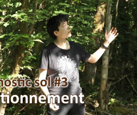 Diagnostic sol #3 | Positionnement