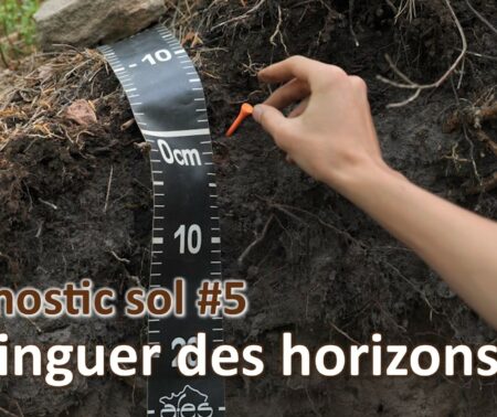 Diagnostic sol #5 | Horizons fosse
