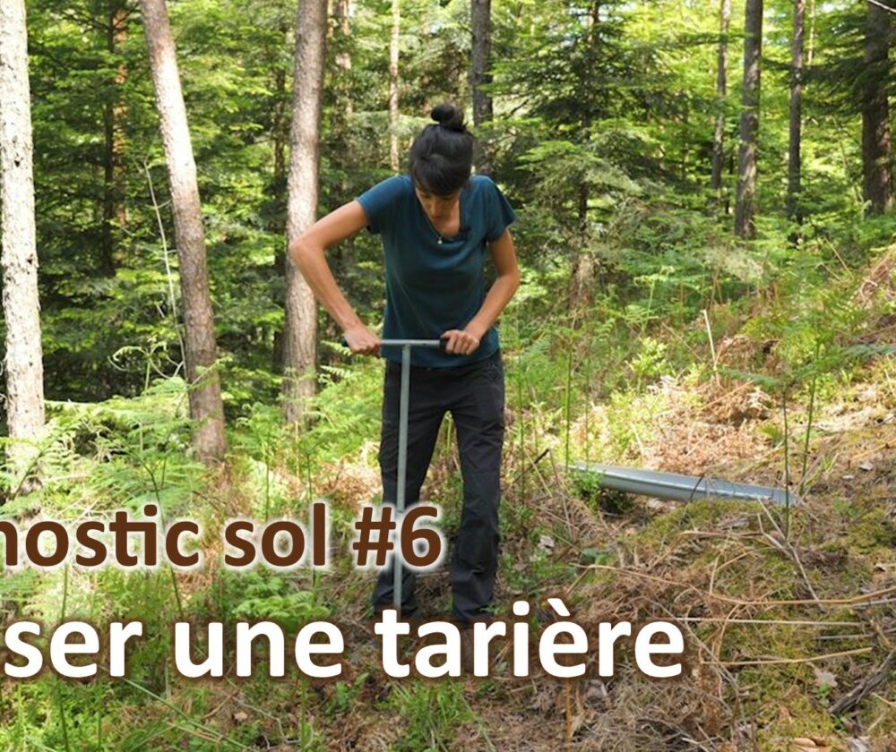 Diagnostic sol #6 | Tarière