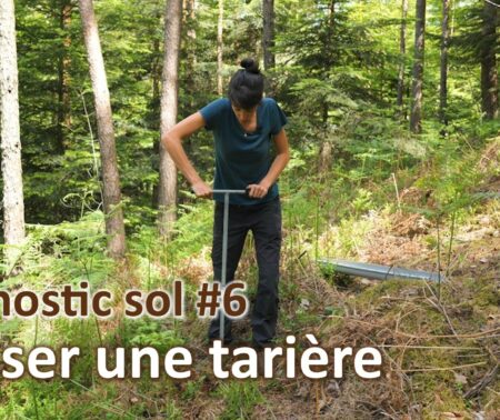 Diagnostic sol #6 | Tarière