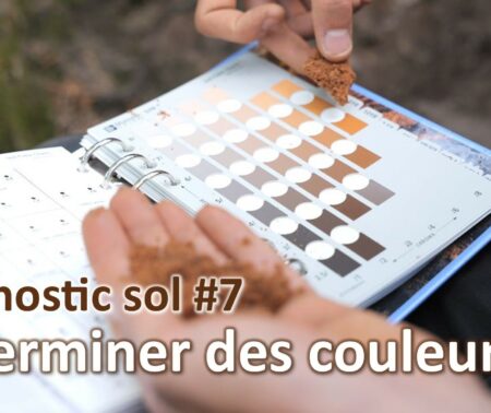 Diagnostic sol #7 | Couleurs