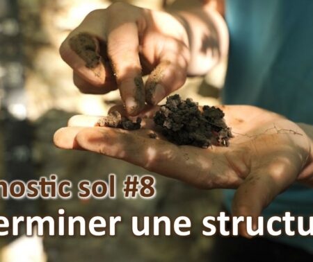 Diagnostic sol #8 | Structure