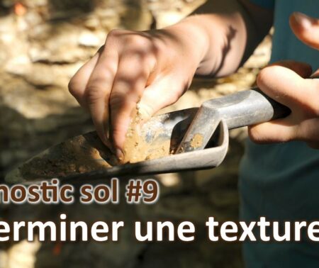 Diagnostic sol #9 | Texture