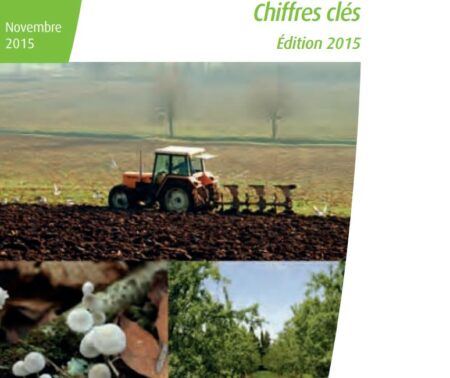 Repères Sols et environnement Chiffres clés