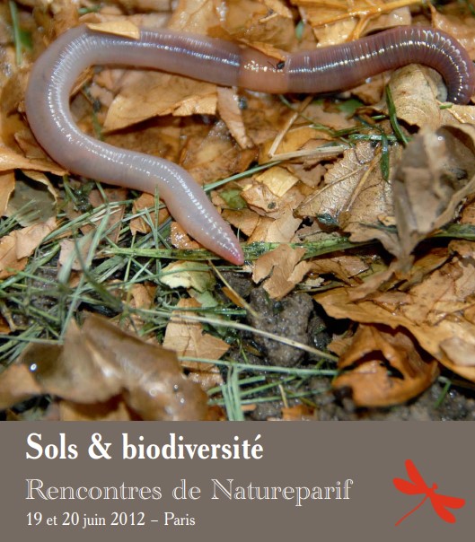 Sols et biodiversité – Rencontres de Natureparif juin 2012