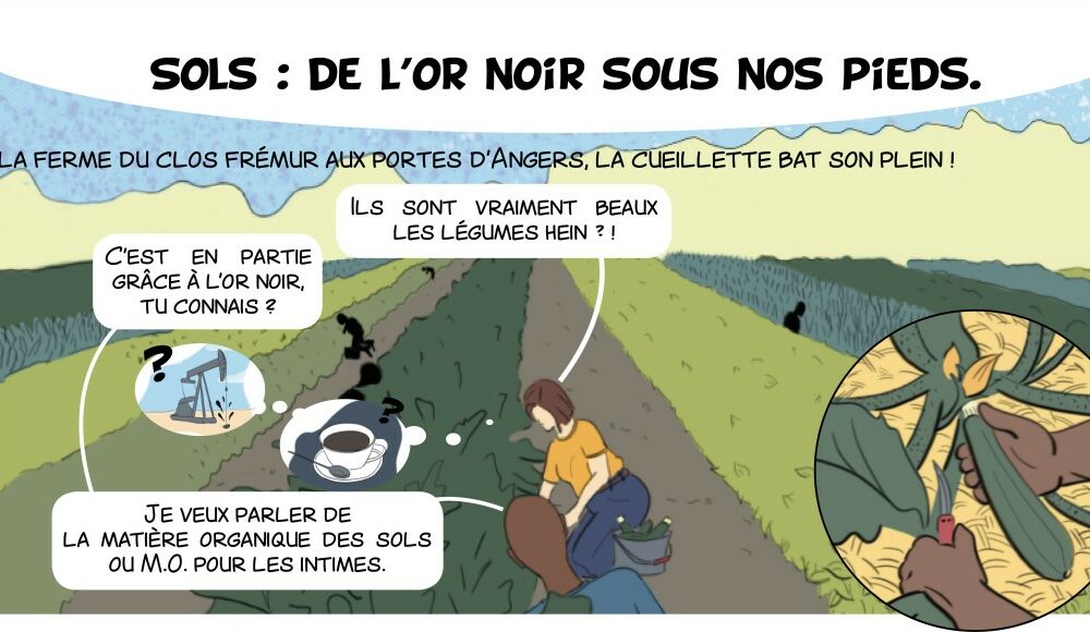 Sols : de l’Or noir sous nos pieds