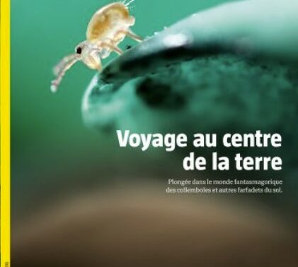 Voyage au centre de la terre