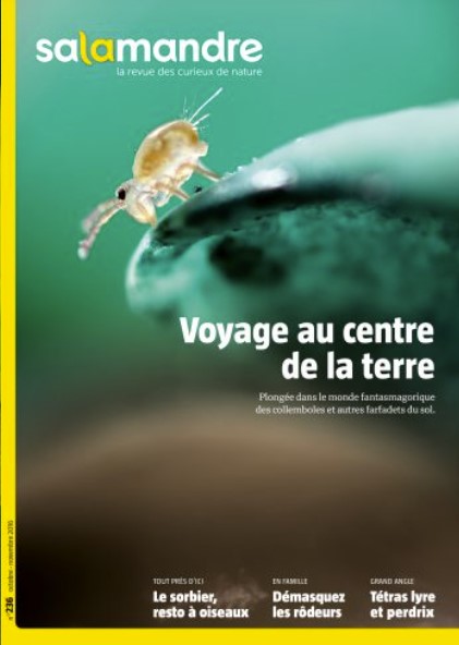 Voyage au centre de la terre