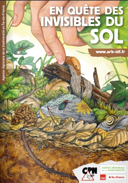 En quête des invisibles du sols