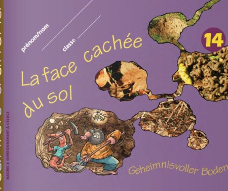 La face cachée du sol