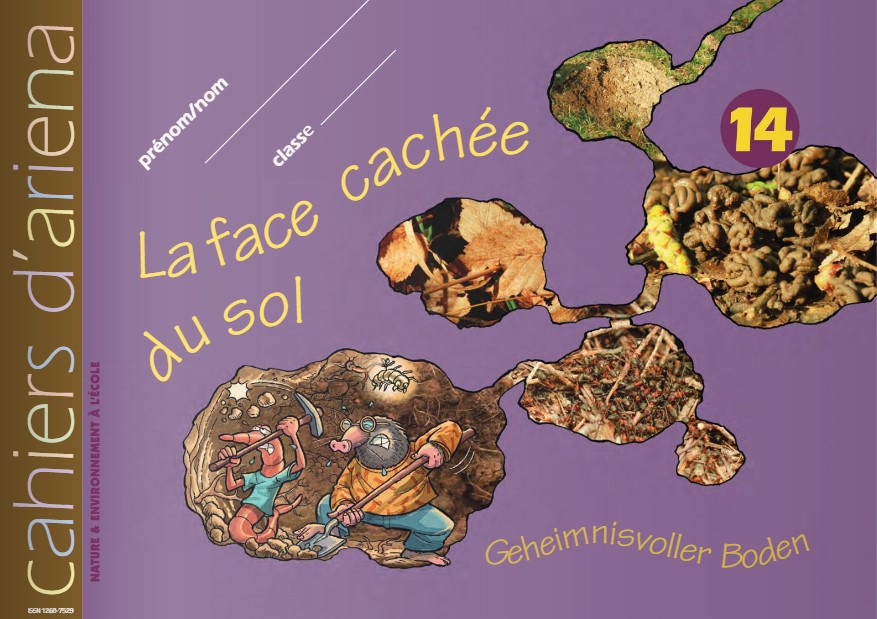 La face cachée du sol