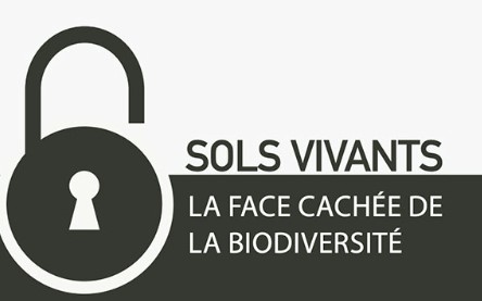 Sols vivants. La face cachée de la biodiversité