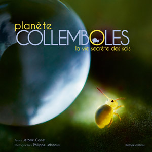 Planète collemboles. La vie secrète des sols