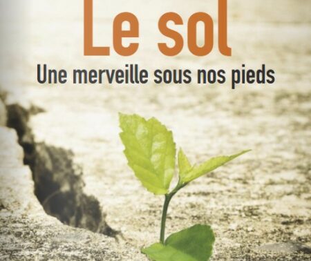 Le sol – Une merveille sous nos pieds