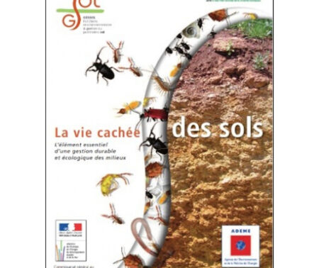 La vie cachée des sols