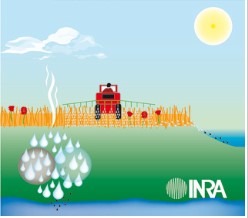Estimation des risques environnementaux des pesticides