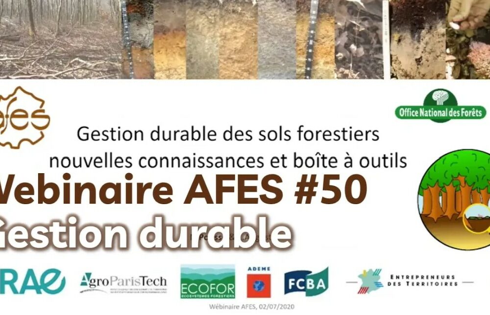 Gestion durable des sols forestiers