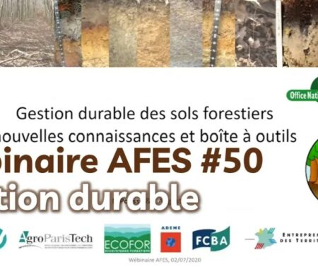 Gestion durable des sols forestiers