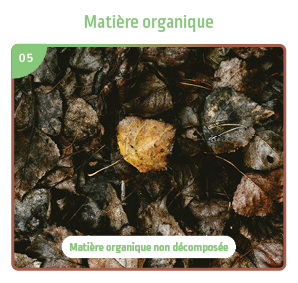 Matière organique