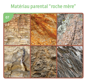 Matériau parental – « roche mère »