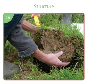 Structure