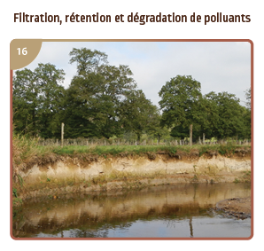 Filtration, dégradation et rétention de polluants