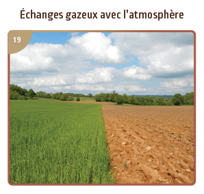 Echanges gazeux avec l’atmosphère