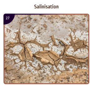 Salinisation