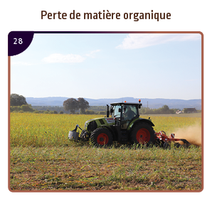 Perte de matière organique