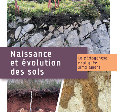 Naissance etévolution des sols. La pédogenèse expliquée simplement