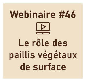 Le rôle des paillis végétaux de surface