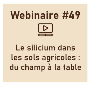 Le silicium dans les sols agricoles, du champ à la table