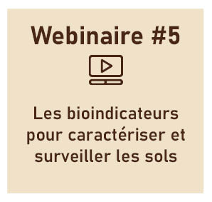 Les bioindicateurs pour caractériser et surveiller les sols