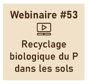 Le recyclage biologique du P dans les sols : quel apport du traçage par les isotopes stables de l’oxygène?