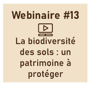 La biodiversité des sols : un fantastique patrimoine à préserver