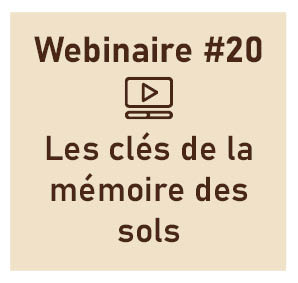 Les clés de la mémoire des sols