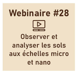 Observer et analyser les sols aux échelles micro et nano