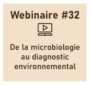 De la microbiologie moléculaire au diagnostic environnemental