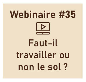 Faut il travailler ou non le sol ?