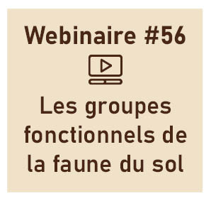 Les groupes fonctionnels de la faune du sol